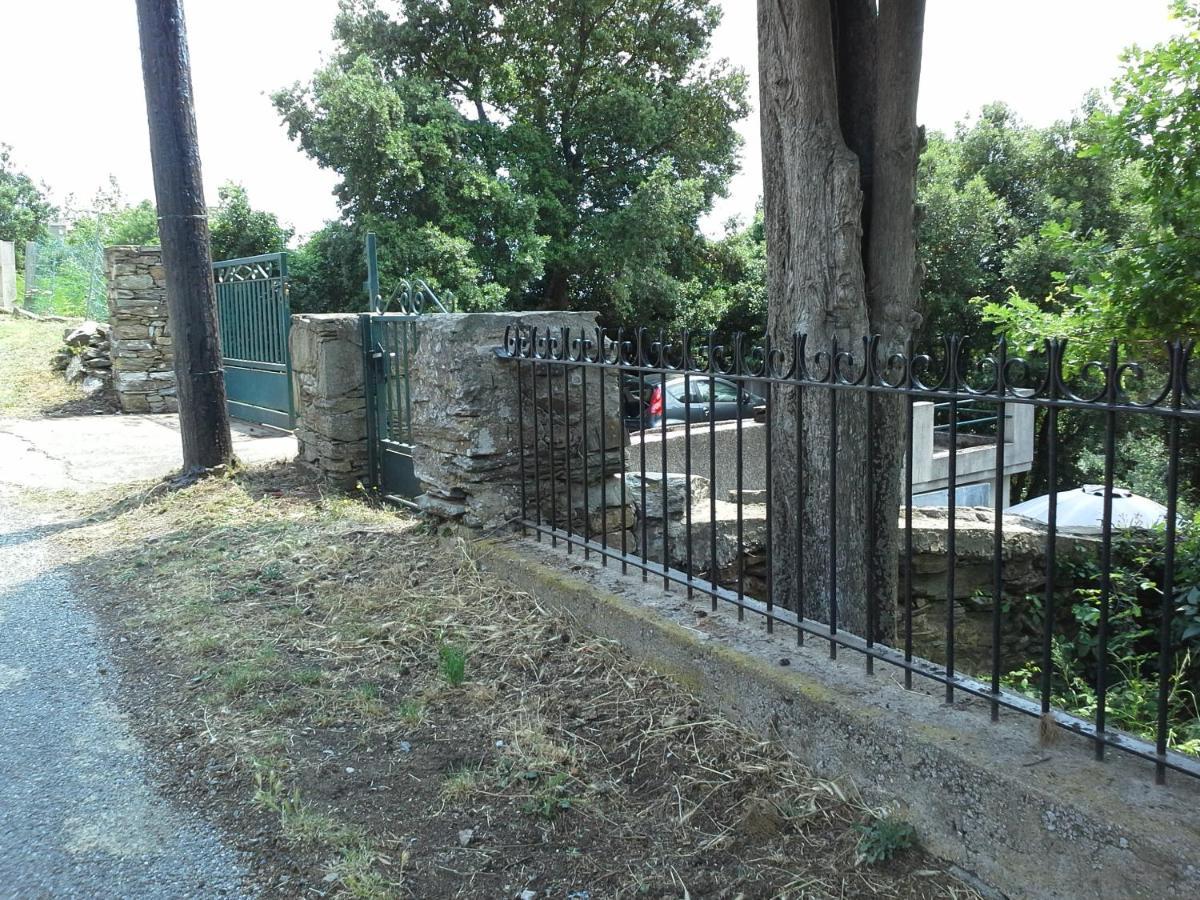 D17 Studio Pietra Buitenkant foto