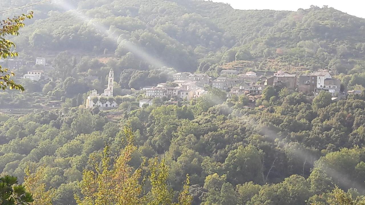 D17 Studio Pietra Buitenkant foto